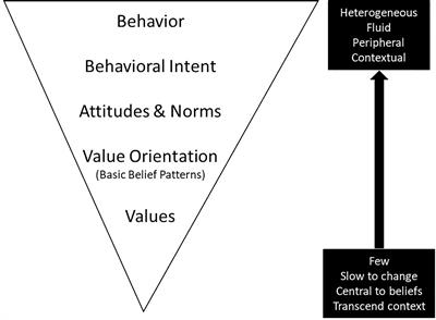 Modernity and the western value-action paradox: contributions from conservation psychology